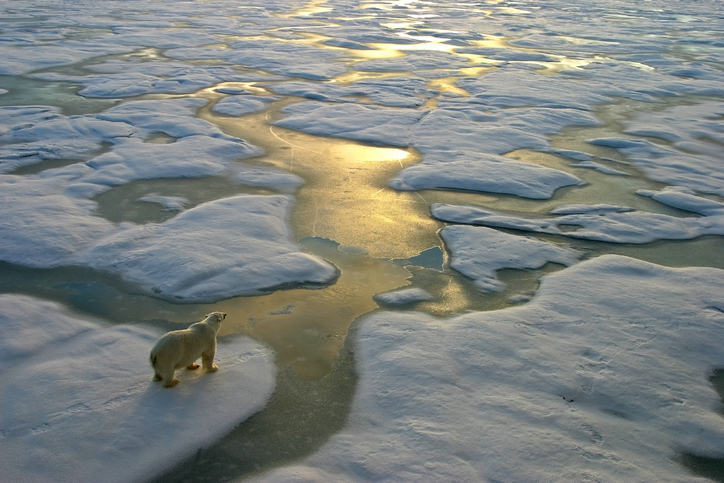 Progress on Climate Change